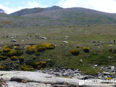 Parque Regional Sierra de Gredos - Laguna Grande de Gredos;grupos de montaña madrid;rutas por madri